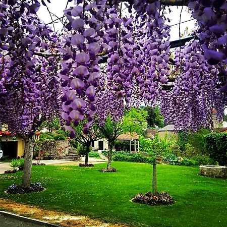 Au Jardin Fleuri Les Châtelliers-Châteaumur