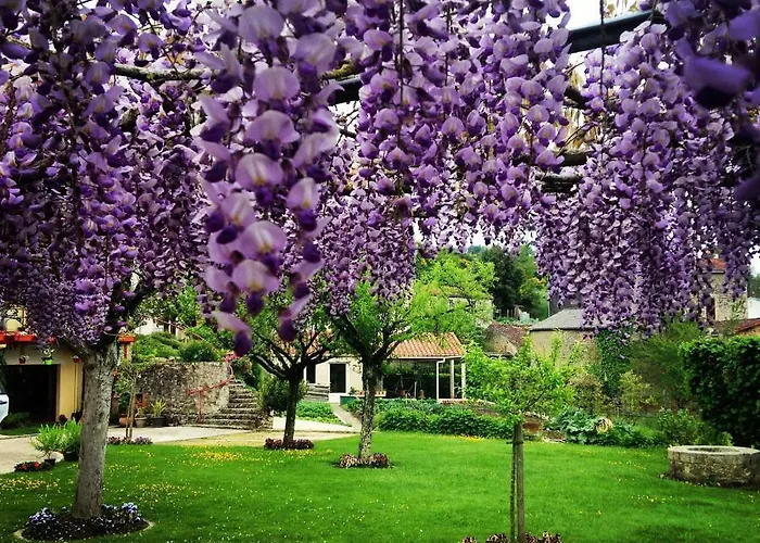 Bed & Breakfast Au Jardin Fleuri